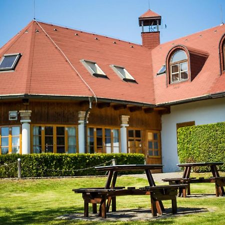 Penzion Terasa, Bed & Breakfast Велке Лосіни Екстер'єр фото