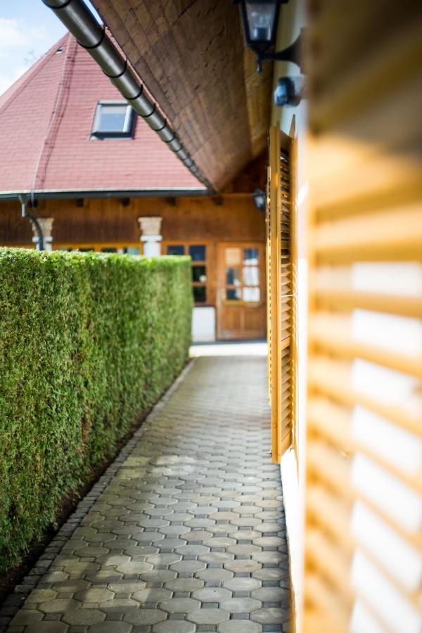 Penzion Terasa, Bed & Breakfast Велке Лосіни Екстер'єр фото