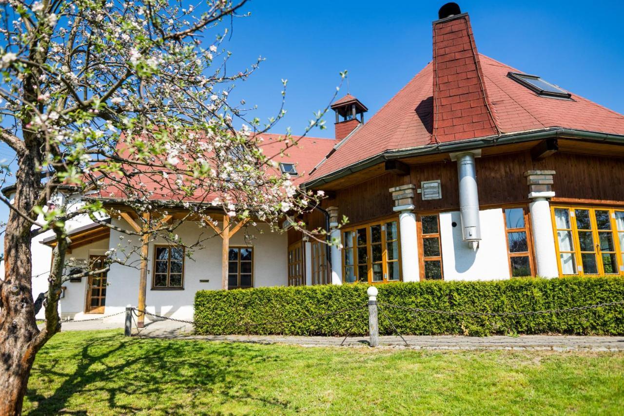 Penzion Terasa, Bed & Breakfast Велке Лосіни Екстер'єр фото
