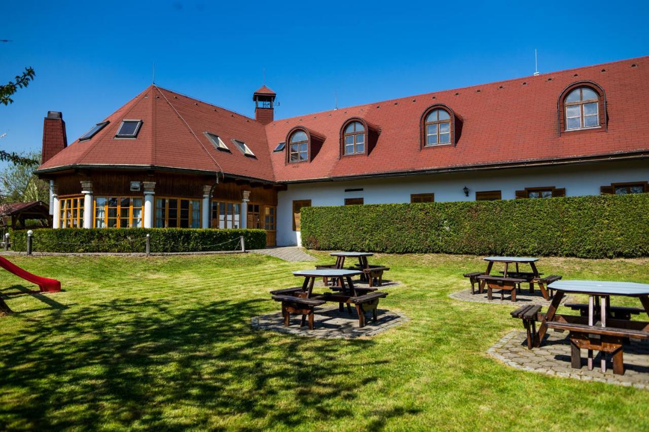 Penzion Terasa, Bed & Breakfast Велке Лосіни Екстер'єр фото